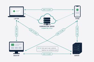 Tailscale mesh — peer-to-peer connections between devices, coordination server
