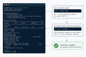 yum/dnf -y flag explained