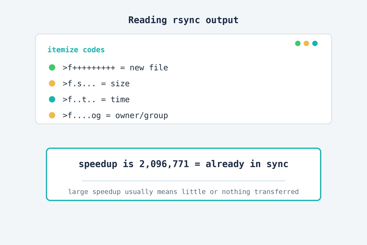 Reading rsync output — itemize codes and the speedup line decoded