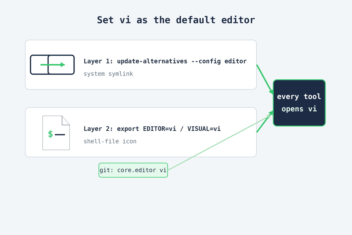 Set vi as default editor on Ubuntu — update-alternatives plus EDITOR and VISUAL